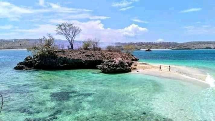 Jaya Homestay Tetebatu Ngoại thất bức ảnh