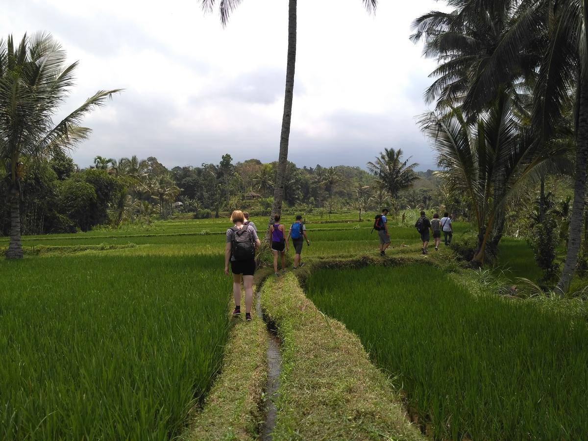 Jaya Homestay Tetebatu Ngoại thất bức ảnh