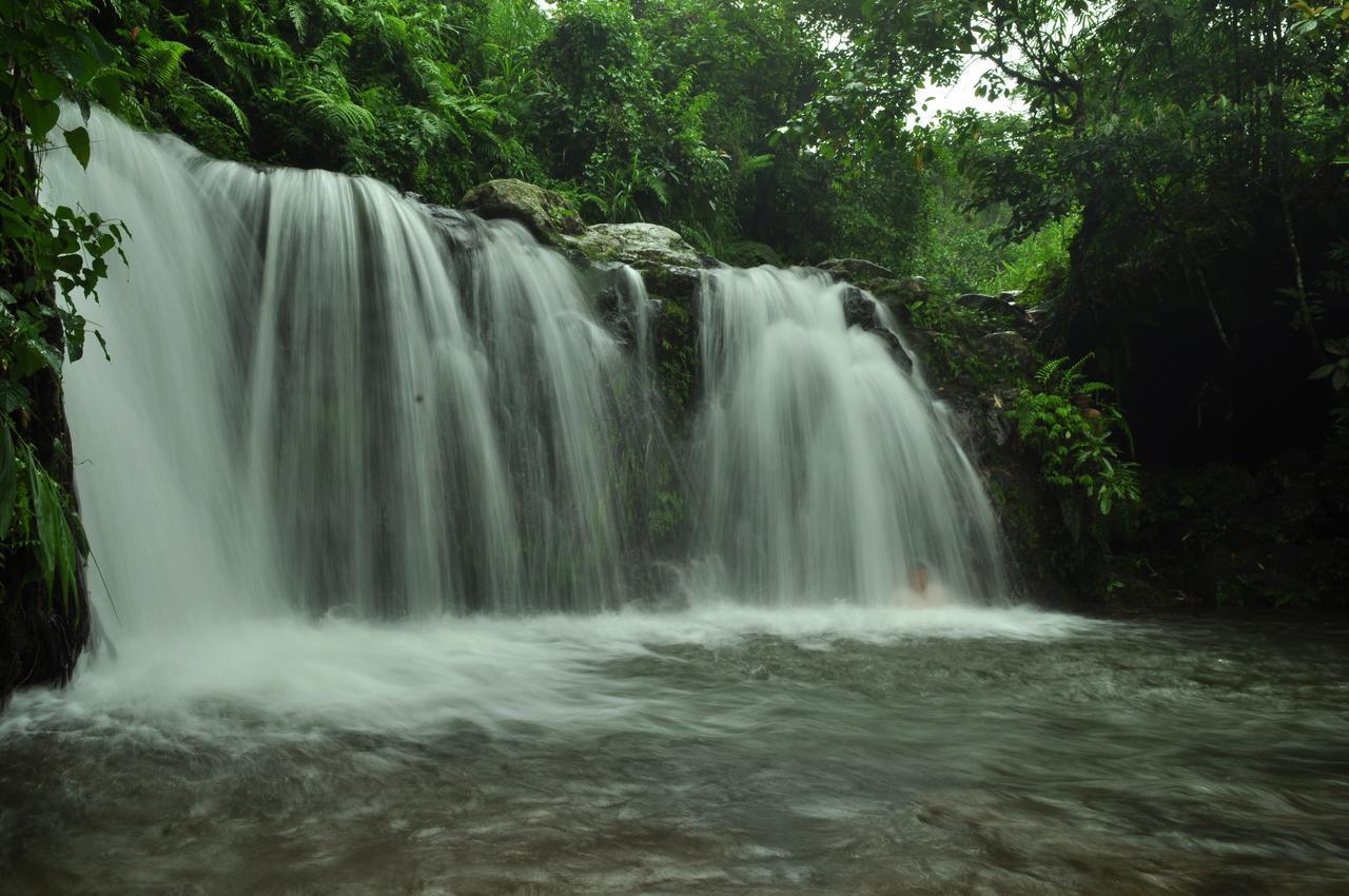 Jaya Homestay Tetebatu Ngoại thất bức ảnh